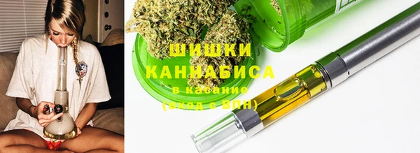 спайс Вяземский